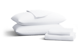 Sealy Sleep Bundle