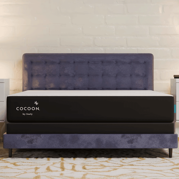 Cocoon by Sealy シングルマットレス Cocoon by Sealy Chill Mattress — Most Affordable Mattress